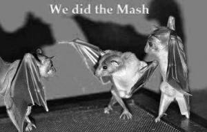 bats monster mash balack and white crop